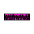 Plain White T's Bumper Sticker